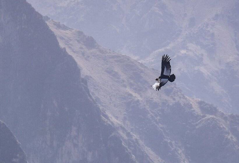 ホテル La Granja Del Colca