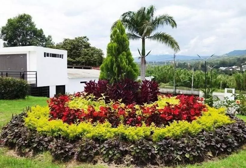 ホテル Palmeras De Luz