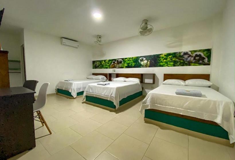 Otel Plataneras Confort