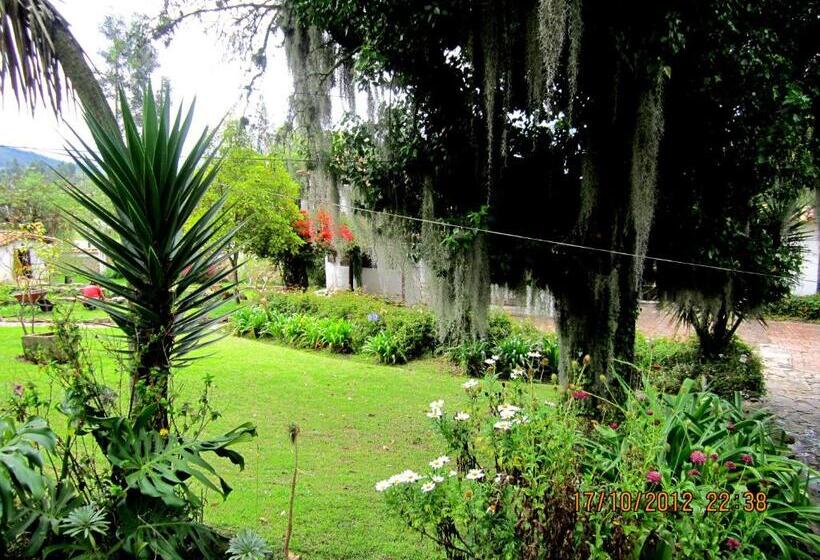 Отель Puntalarga