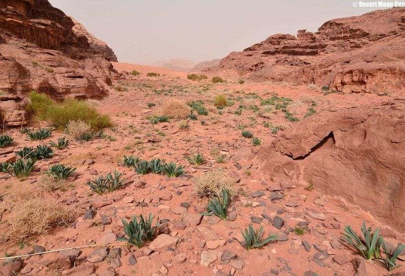 هتل Desert Moon Camp