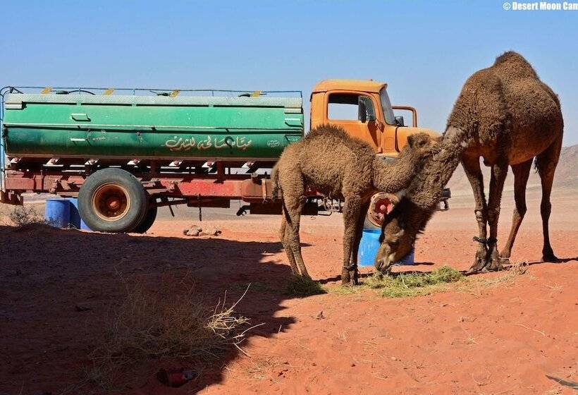 هتل Desert Moon Camp