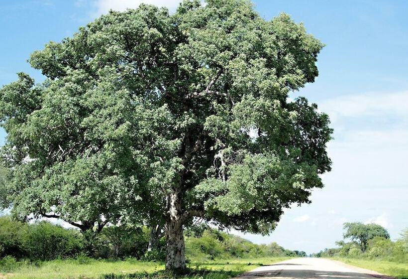 هتل Fiume Bush Camp