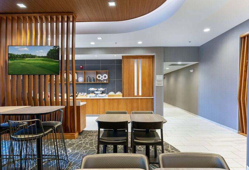 هتل Springhill Suites By Marriott Chattanooga South/ringgold