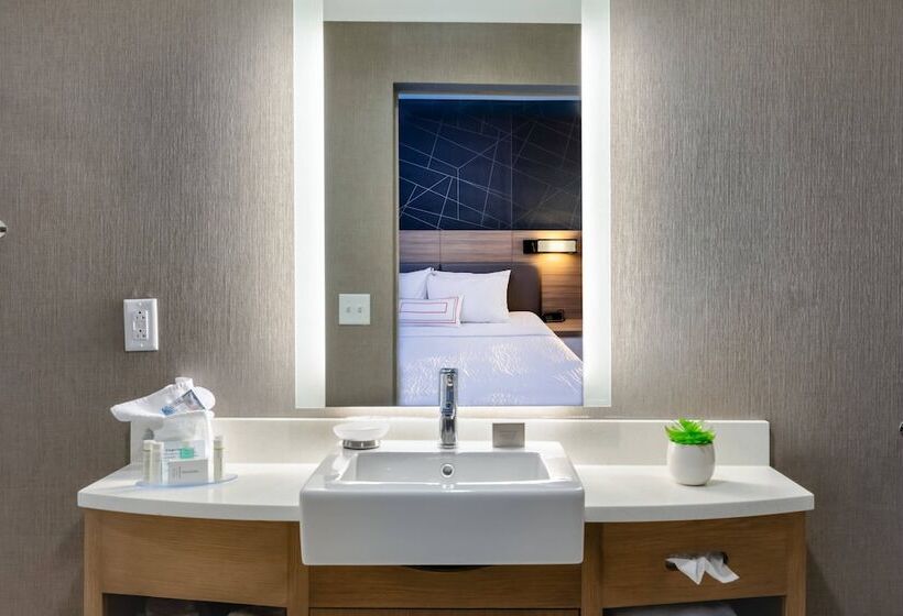 هتل Springhill Suites By Marriott Chattanooga South/ringgold