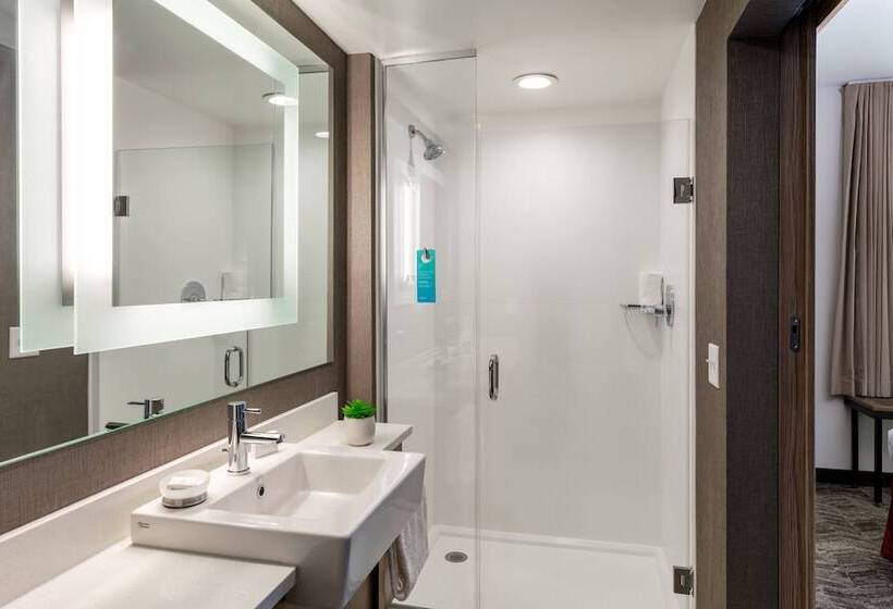 هتل Springhill Suites By Marriott Chattanooga South/ringgold