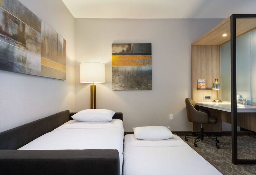 هتل Springhill Suites By Marriott Chattanooga South/ringgold