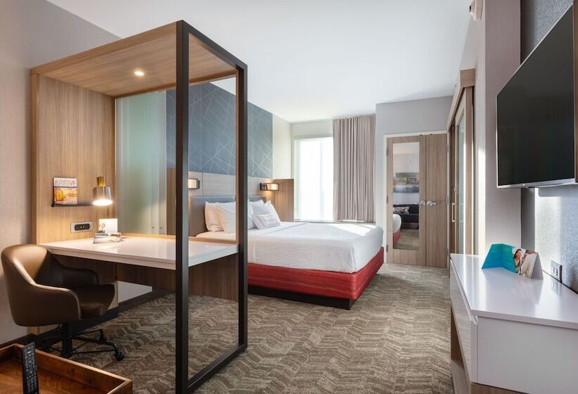 هتل Springhill Suites By Marriott Chattanooga South/ringgold