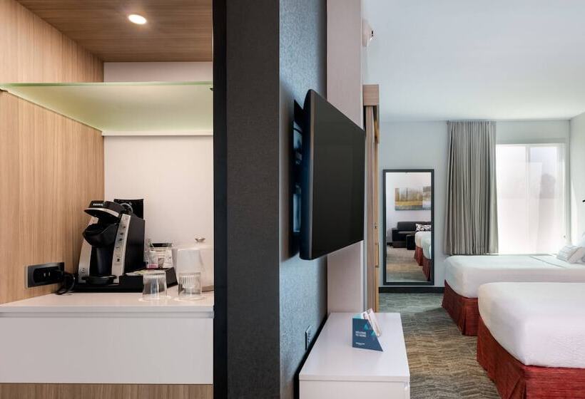 هتل Springhill Suites By Marriott Chattanooga South/ringgold