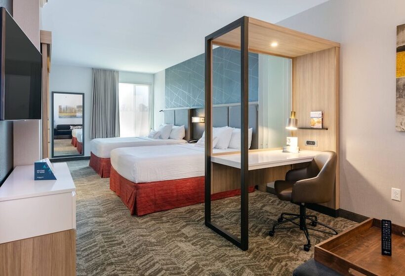 هتل Springhill Suites By Marriott Chattanooga South/ringgold