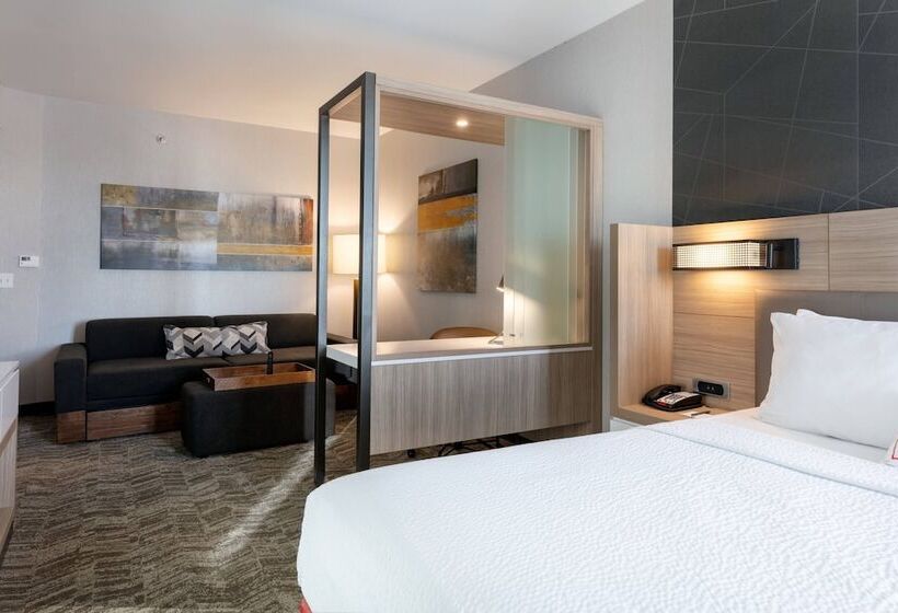 هتل Springhill Suites By Marriott Chattanooga South/ringgold