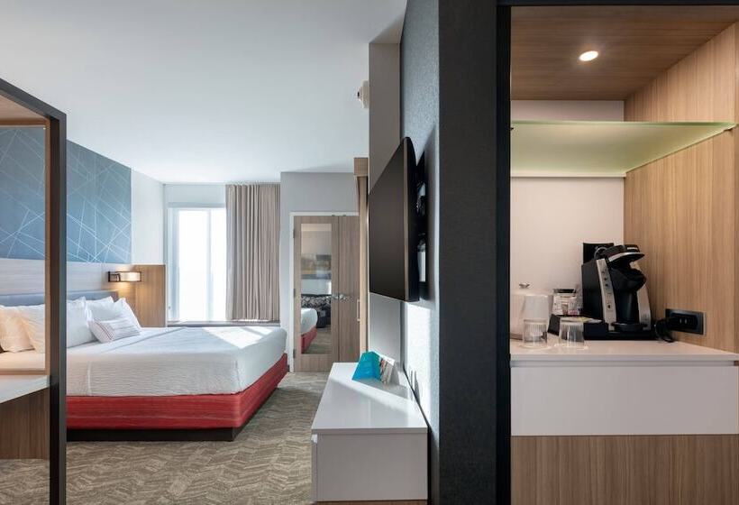 هتل Springhill Suites By Marriott Chattanooga South/ringgold