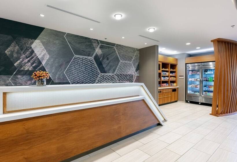 هتل Springhill Suites By Marriott Chattanooga South/ringgold