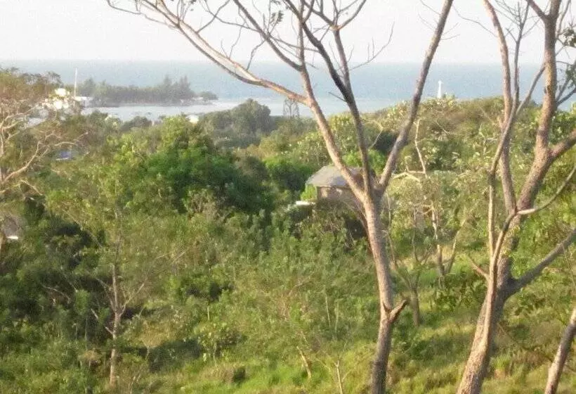 La Mayur Cottage