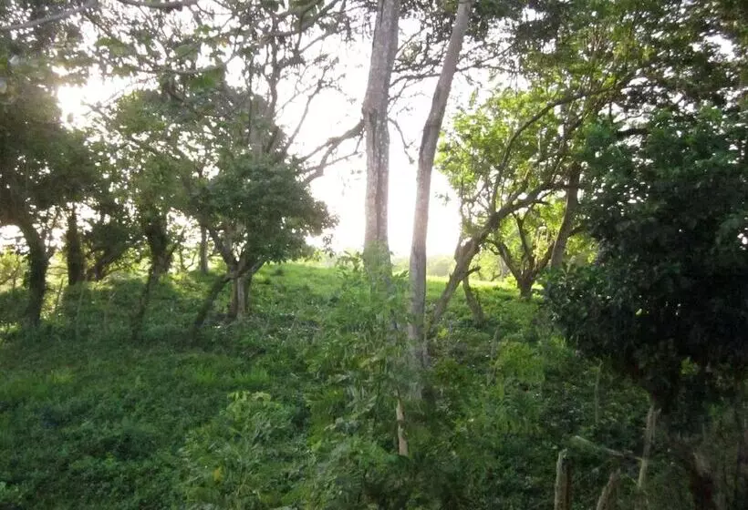 La Mayur Cottage