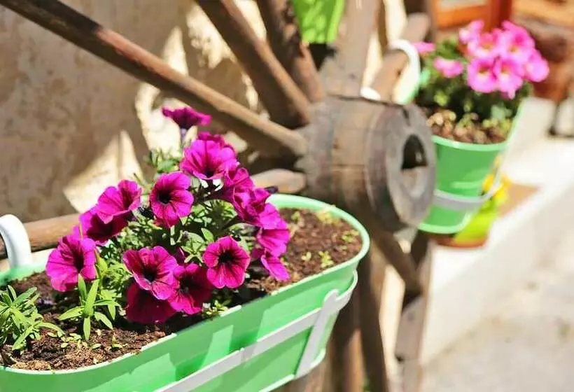 Hotelli Le Rebanchon