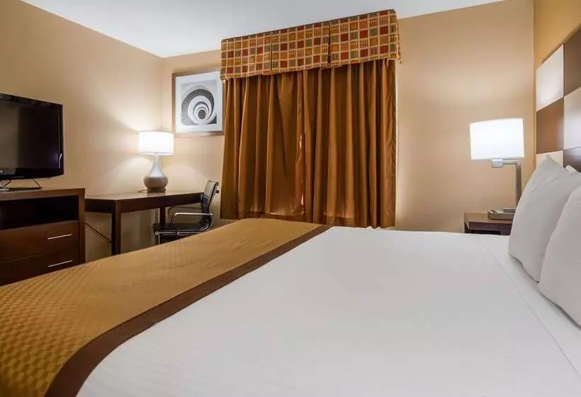 ホテル Best Western Joliet Inn & Suites