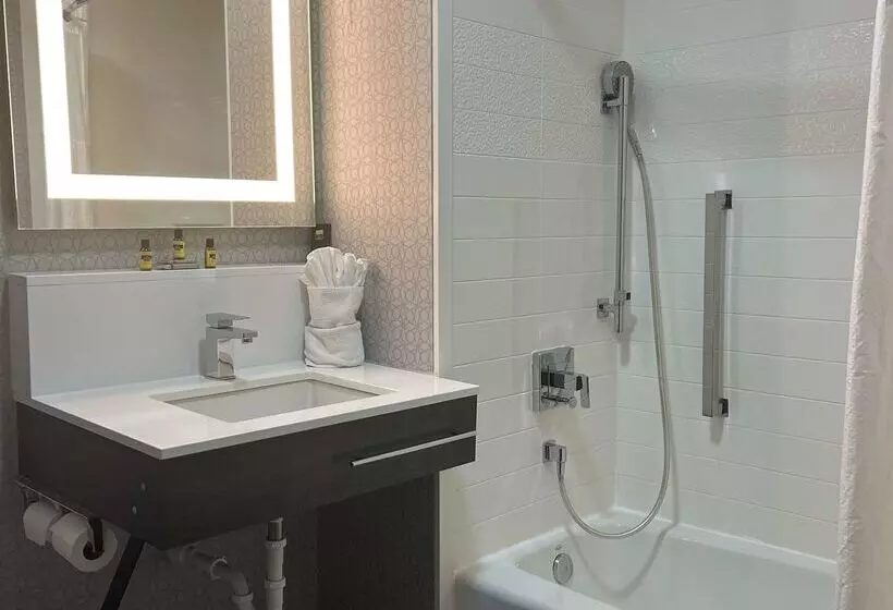 בית מלון כפרי Best Western Downtown Plus Music Row