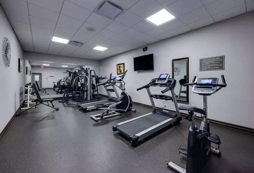 בית מלון כפרי Best Western Downtown Plus Music Row