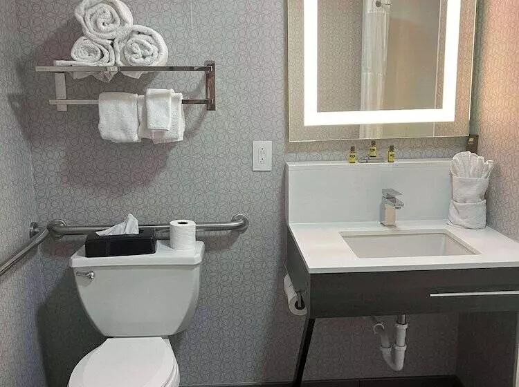 בית מלון כפרי Best Western Downtown Plus Music Row