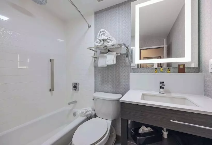 בית מלון כפרי Best Western Downtown Plus Music Row