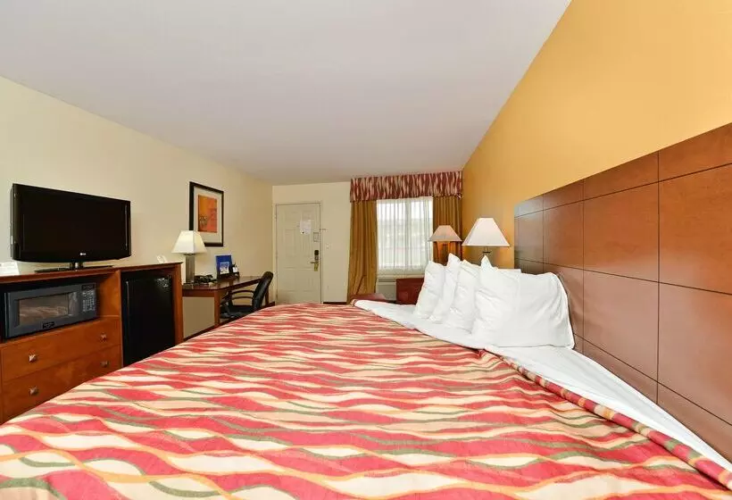 酒店 Best Western Snyder Inn