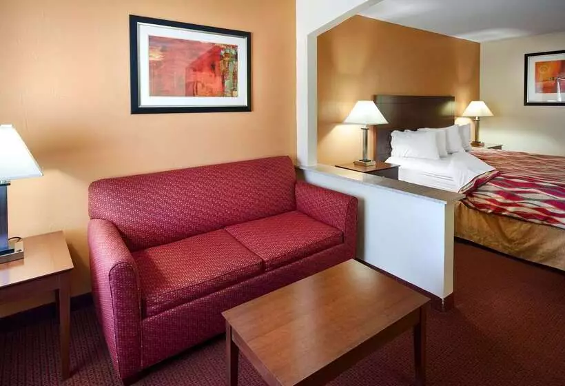 酒店 Best Western Snyder Inn