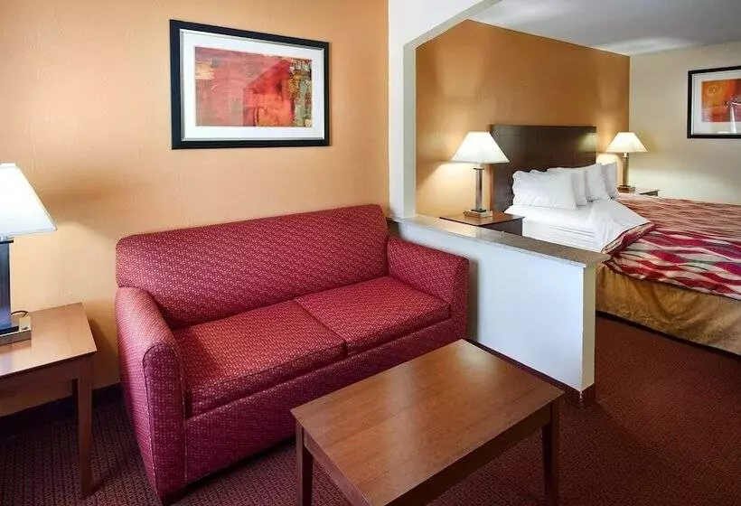 酒店 Best Western Snyder Inn