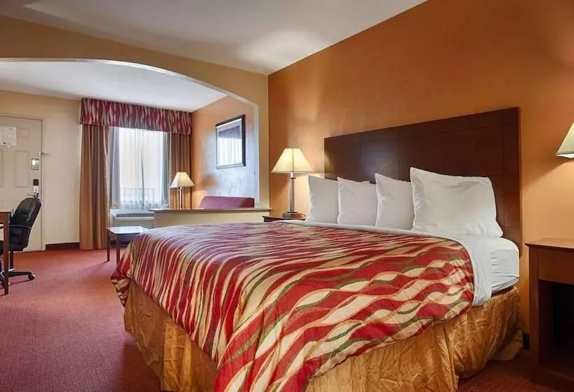 酒店 Best Western Snyder Inn