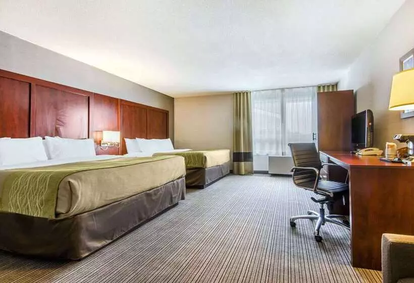 酒店 Comfort Inn & Suites