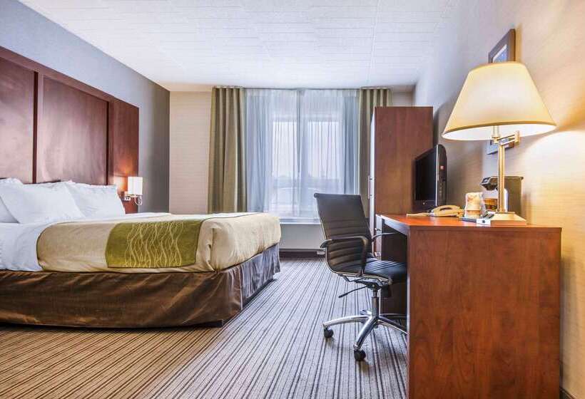 酒店 Comfort Inn & Suites