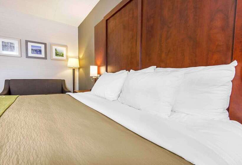 酒店 Comfort Inn & Suites