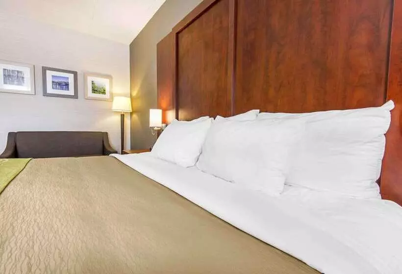 酒店 Comfort Inn & Suites