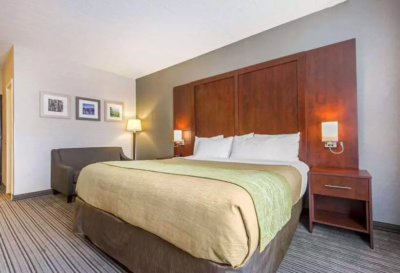 酒店 Comfort Inn & Suites