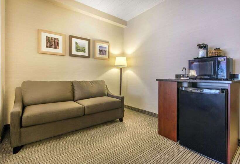 酒店 Comfort Inn & Suites