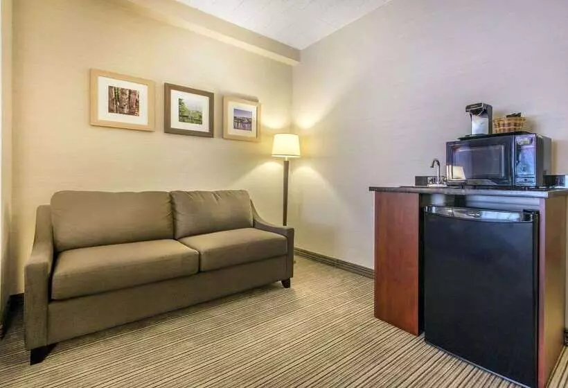 酒店 Comfort Inn & Suites