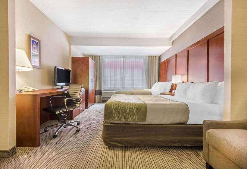 酒店 Comfort Inn & Suites