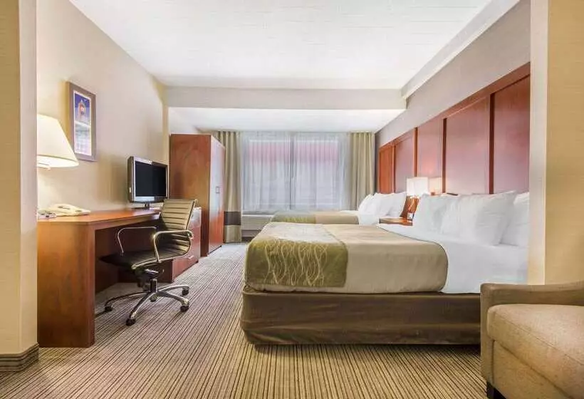 酒店 Comfort Inn & Suites