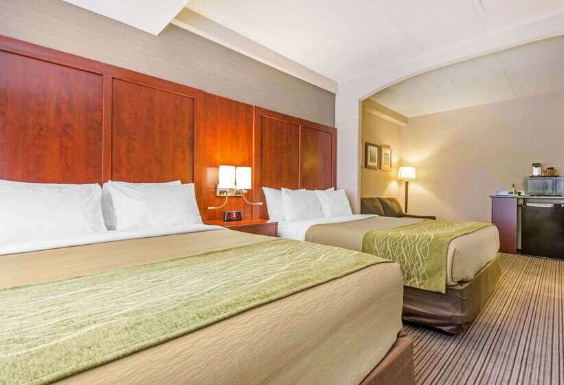 酒店 Comfort Inn & Suites