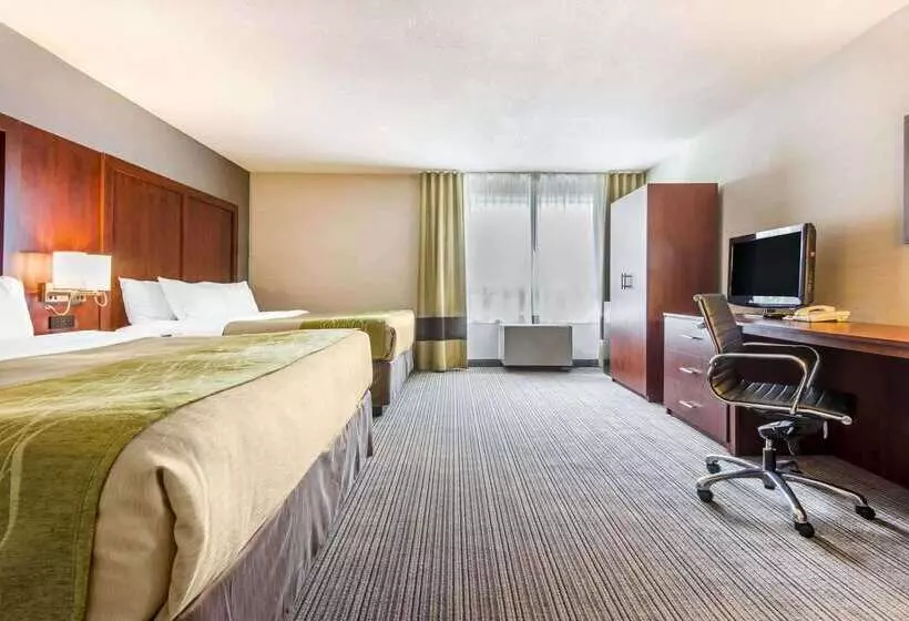 酒店 Comfort Inn & Suites