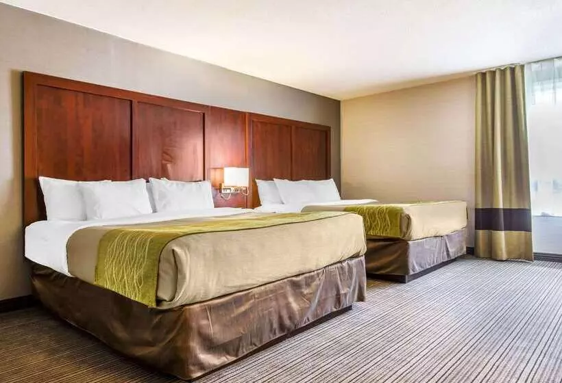 酒店 Comfort Inn & Suites