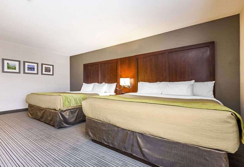 酒店 Comfort Inn & Suites