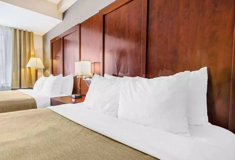 酒店 Comfort Inn & Suites