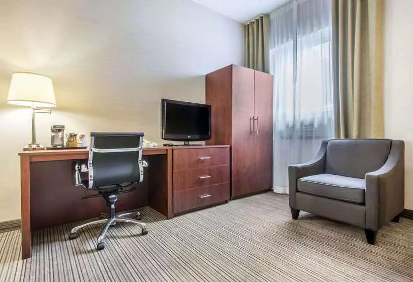 酒店 Comfort Inn & Suites