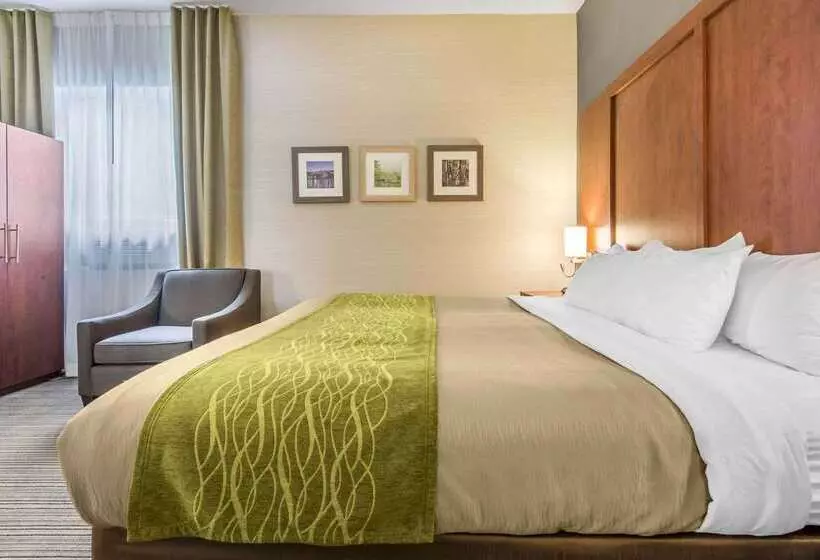 酒店 Comfort Inn & Suites