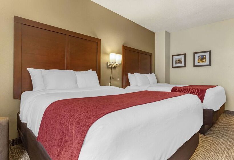 酒店 Comfort Inn & Suites Streetsboro  Kent