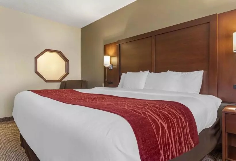 호텔 Comfort Inn & Suites Streetsboro Kent