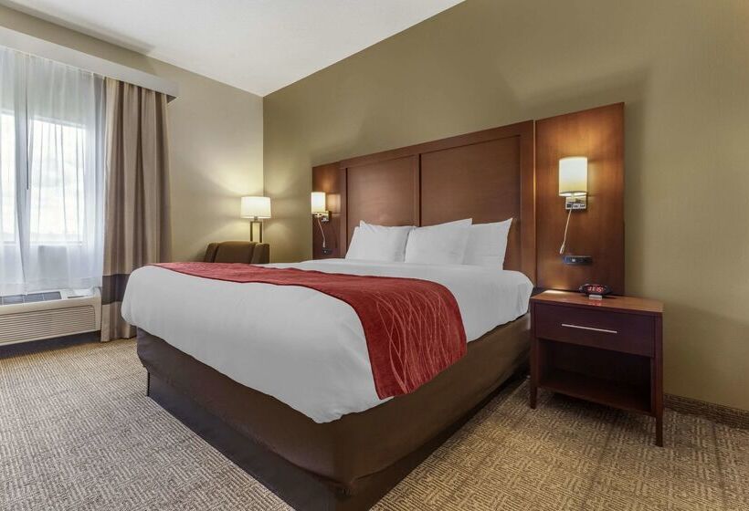 酒店 Comfort Inn & Suites Streetsboro  Kent
