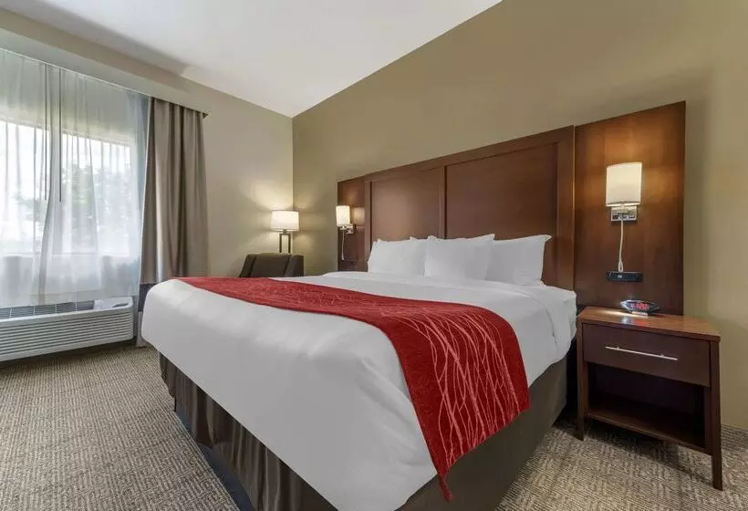 호텔 Comfort Inn & Suites Streetsboro Kent