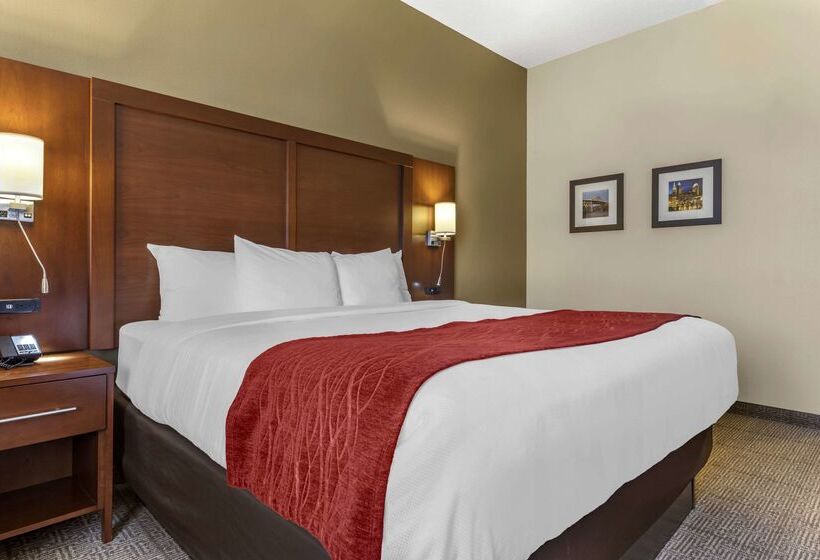 酒店 Comfort Inn & Suites Streetsboro  Kent